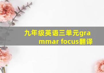 九年级英语三单元grammar focus翻译